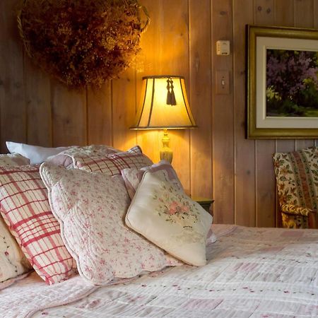 Le Petit Clocher Gite Touristique B & B Saint-Sauveur-des-Monts Rum bild
