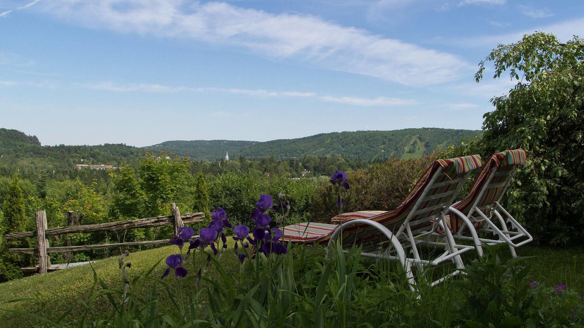 Le Petit Clocher Gite Touristique B & B Saint-Sauveur-des-Monts Exteriör bild